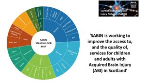 Map of SABIN's stakeholders